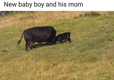 What can you say, Precious.
