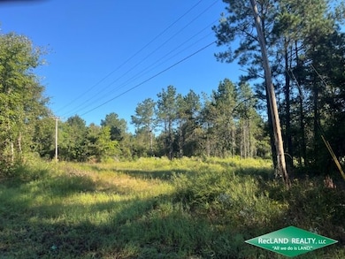 Hwy 313, Stamps, AR 71860 - photo 6