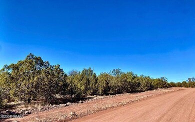 2653 Denny Dr, Ash Fork, AZ 86320 - photo 5