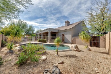 Back Yard & Pool
