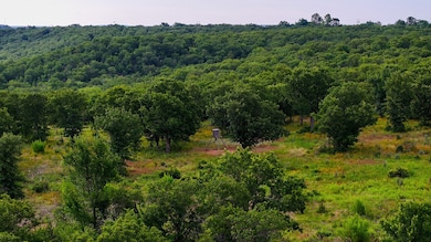 0000 Fm 61, Graham, TX 76450 - photo 4