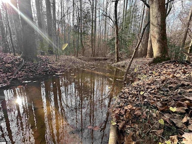 201 Leroy Dr, Liberty, SC 29657 - photo 2