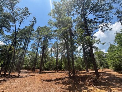 5301 Mt Pleasant Church Rd, Macon, GA 31216 - photo 4