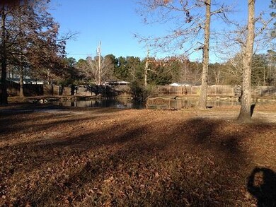 Photo Duck Pond View_12_19_2019