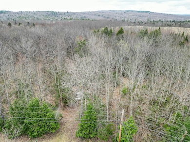 TBD Chipmunk Ln, Hartland, ME 04943 - photo 5