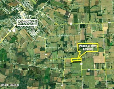 2700 Blk Peach Bloom Hwy unit Lot 5, Church Point, LA 70525 - photo 4