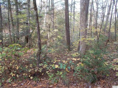 00 Holly Ln, Sevierville, TN 37876 - photo 4
