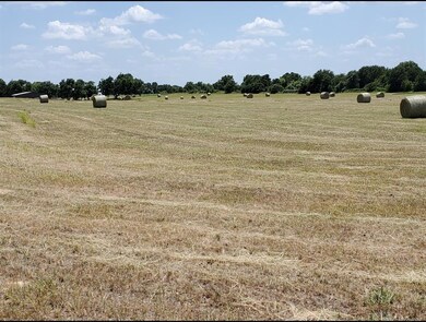 TBD 5ac Red Hawk Rd, Weatherford, TX 76088 - photo 6