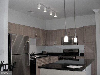 Bryson At Woodland Park unit 405, Herndon, VA 20171 - photo 7