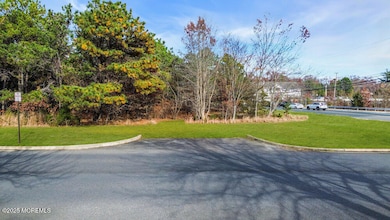 115 Saint Catherine Blvd, Toms River, NJ 08755 - photo 3