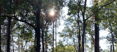 0 Koepp Rd, Madisonville, LA 70447 - photo 3