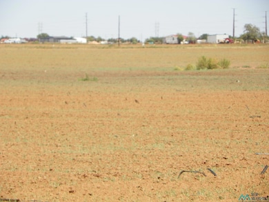 409 Humphrey Rd, Clovis, NM 88101 - photo 4