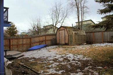 Jordan_backyard
