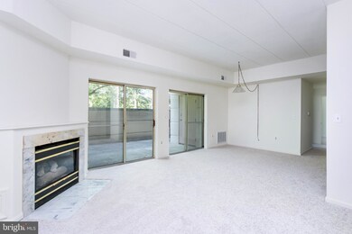 7317 Eden Brook Dr unit H107, Columbia, MD 21046 - photo 3