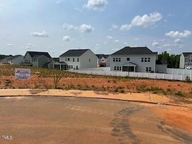 Pre construction picture