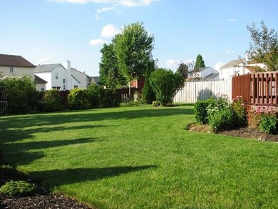 Large yard