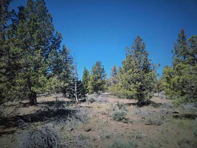 20250422_120013 (1)