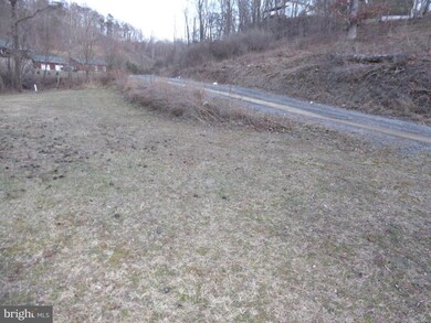 0 W Virginia 28, Fort Ashby, WV - photo 6