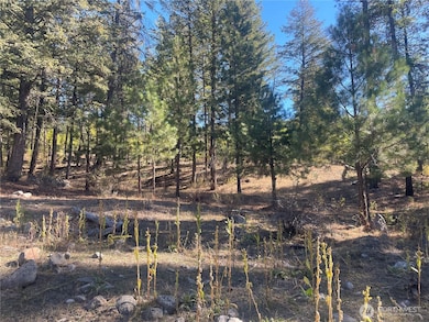 0 High Country Rd W unit NWM2438687, Tonasket, WA 98855 - photo 3