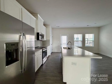 216 Russell Branch Ln, Charlotte, NC 28211 - photo 5