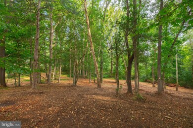 16304 Pleasant Mill Rd, Montpelier, VA 23192 - photo 7