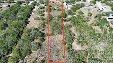 TBD E Co Road 2210, Kingsville, TX 78363 - photo 2