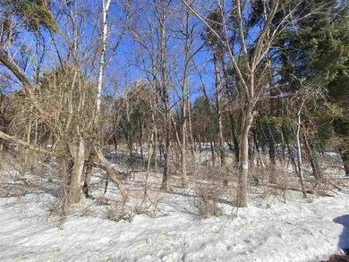 Lot 17 Pine Tree Rd, Jordan, WI 53566 - photo 4