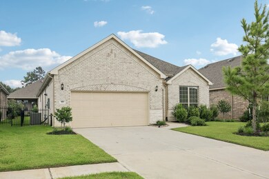 151 Wild Wick Way, Spring, TX 77382 - photo 5