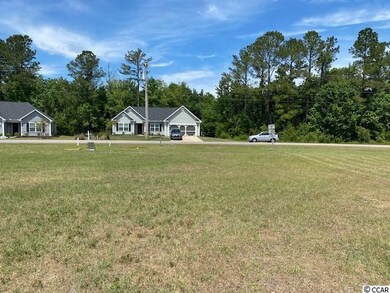 1141 Pecan Grove Blvd, Conway, SC 29527 - photo 5