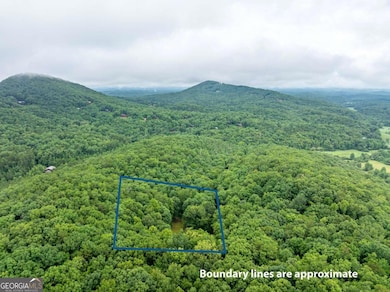 467 Gilliam Trail, Mineral Bluff, GA 30559 - photo 5