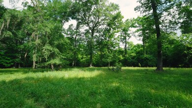 0 E River Rd unit 154466, Jacksonville, GA 31544 - photo 4