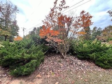 1658 Avalon Rd, Star City, AR 71667 - photo 4