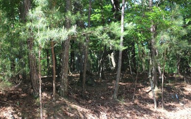 Additional View