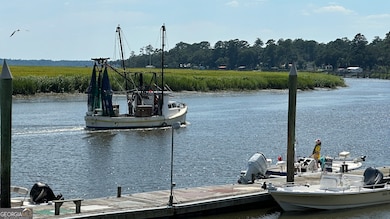 0 Pelican Perch Rd, Townsend, GA 31331 - photo 4