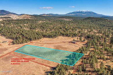 5 Acre Lot