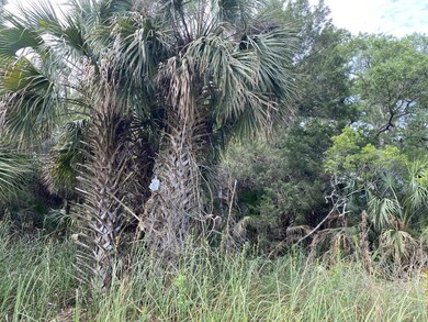 xxx Gator Trail, Other Florida, FL 32327 - photo 5