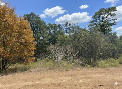 0 SW 234th Rd, Tuskahoma, OK 74574 - photo 3