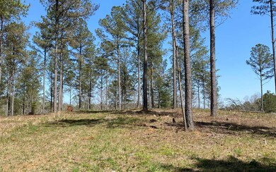 Additional View