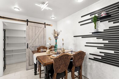 7-Barn Door Pantry
