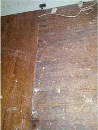 1013 W 8th St, Wilmington, DE 19806 - photo 5