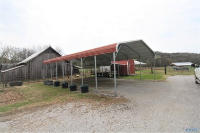 33343 Ardmore Ridge Rd, Ardmore, TN 38449 - photo 6