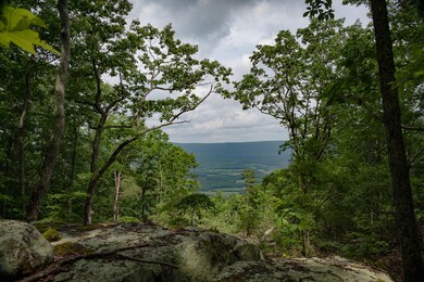 Moore View-2