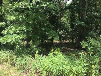 Sight slope from street to last 1/3 of lot.