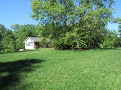Plenty of green lawn