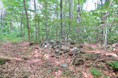 00 Hemenway Rd, Ludlow, VT 05149 - photo 7