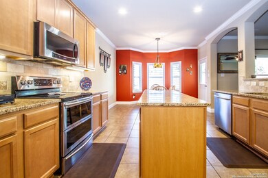 10911 Fox Glove Field, Helotes, TX 78023 - photo 6