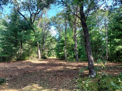 Cumberland Court Dr, Friendship, WI 53934 - photo 6