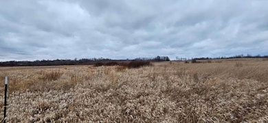 Parcel 7 Willow Rd NE, Carlos, MN 56319 - photo 6