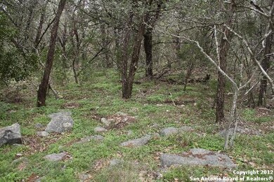 12243 Clovis, Helotes, TX 78023 - photo 4