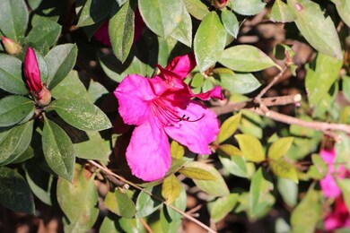 407 E 4th St, Adel, GA 31620 - photo 5